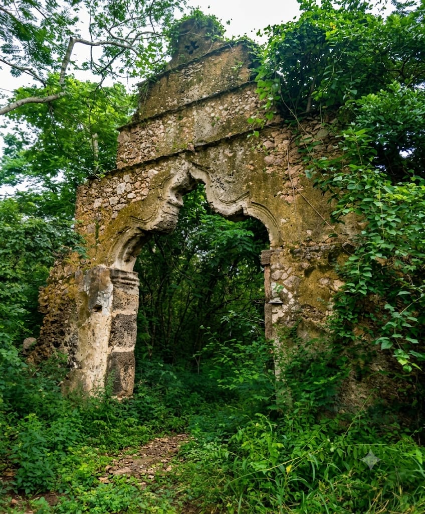 Arco de piedra antiguo de una hacienda cubierto de vegetación, con un camino al frente